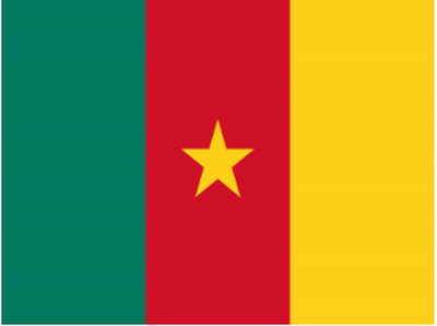 喀麦隆CTN(BESC)介绍
