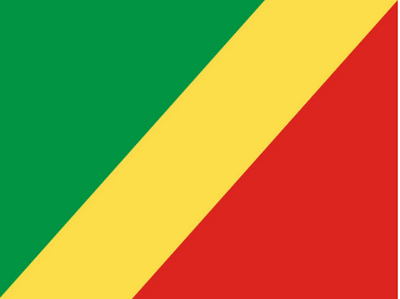 马塔迪FERI电子跟踪单介绍