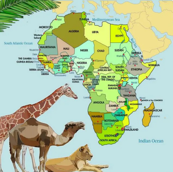 ECTN是英语ELECTRONIC CARGO TRACKING NOTE的简称，中文翻译为：电子货物跟踪单。法文简称BESC